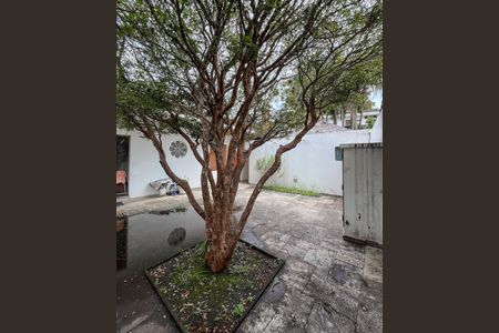 Casa à venda com 469m², 3 quartos e 8 vagasQuintal