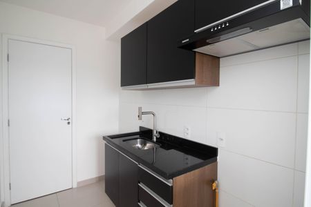 Apartamento para alugar com 52m², 2 quartos e 1 vagaCozinha - Armários