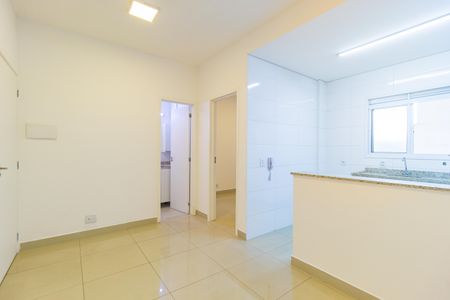 Sala de apartamento para alugar com 1 quarto, 30m² em Catumbi, São Paulo