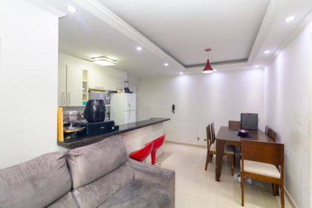 Sala de apartamento para alugar com 2 quartos, 52m² em Santa Etelvina, São Paulo