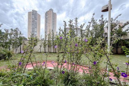 Vista de kitnet/studio para alugar com 1 quarto, 40m² em Cambuci, São Paulo