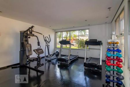 Apartamento para alugar com 72m², 3 quartos e 1 vaga Apartamento para alugar com 72m², 3 quartos e 1 vagaÁrea comum - Academia