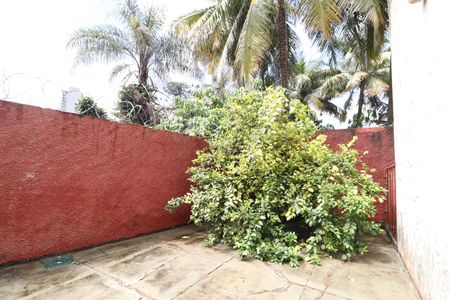 Casa para alugar com 487m², 9 quartos e 2 vagasQuintal