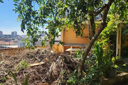 Casa à venda com 2 quartos, 294m² em Vila Cavaton, São Paulo