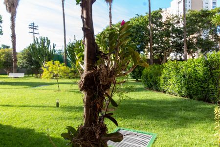 Apartamento à venda com 259m², 3 quartos e 3 vagas Apartamento à venda com 259m², 3 quartos e 3 vagasSacada da Suíte 3