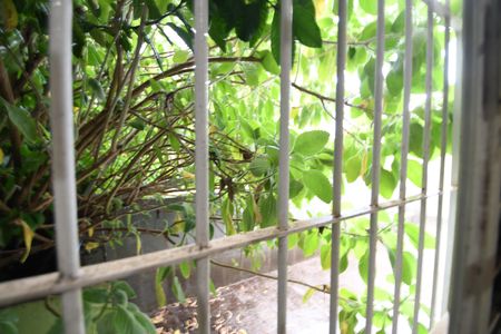 Casa à venda com 147m², 2 quartos e 1 vagaQuarto 1 - Vista