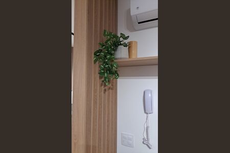 Studio de apartamento para alugar com 1 quarto, 24m² em Vila Mariana, São Paulo