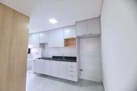 Apartamento para alugar com 47m², 2 quartos e sem vagaCozinha