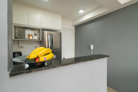 Apartamento para alugar com 36m², 2 quartos e sem vagaCozinha