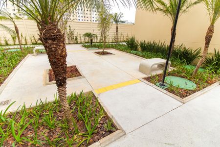 Apartamento para alugar com 35m², 2 quartos e sem vaga Apartamento para alugar com 35m², 2 quartos e sem vagaÁrea comum - Churrasqueira