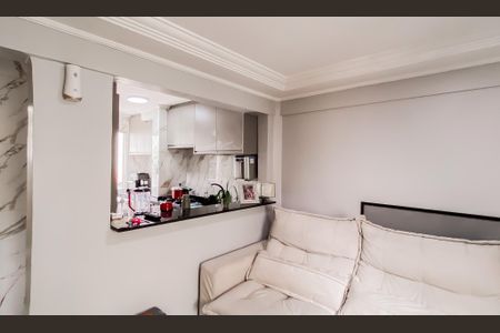 Sala de apartamento para alugar com 2 quartos, 46m² em Vila Silvia, São Paulo