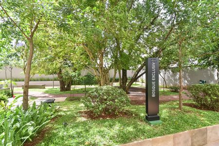 Apartamento para alugar com 98m², 3 quartos e 2 vagasBosque