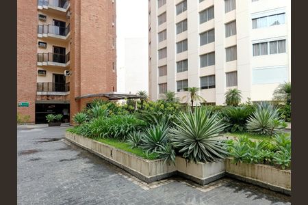 Apartamento para alugar com 58m², 1 quarto e 1 vaga Apartamento para alugar com 58m², 1 quarto e 1 vagaJardim frontal