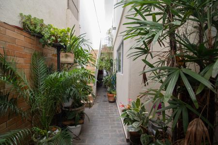 Casa à venda com 130m², 3 quartos e 2 vagas Casa à venda com 130m², 3 quartos e 2 vagasQuintal