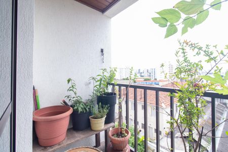 Apartamento à venda com 3 quartos, 65m² em Ipiranga, São Paulo