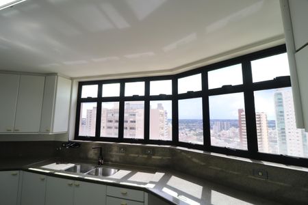 Apartamento para alugar com 300m², 3 quartos e 2 vagasCozinha