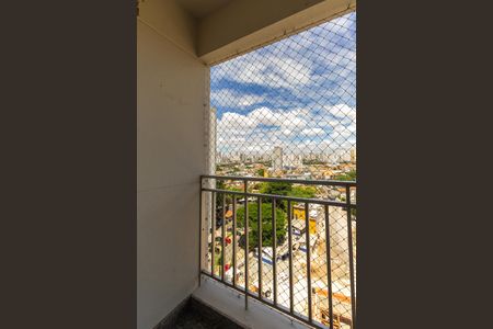 Apartamento para alugar com 3 quartos, 65m² em Vila Carlos de Campos, São Paulo
