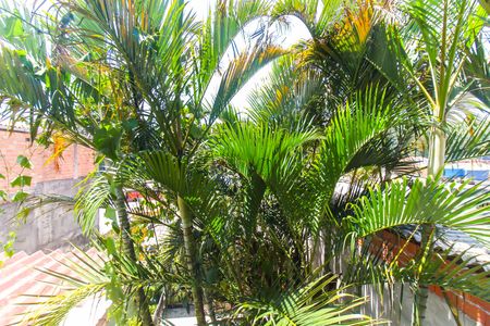 Vista do Quarto 1 de casa para alugar com 3 quartos, 150m² em Lageado, Ferraz de Vasconcelos