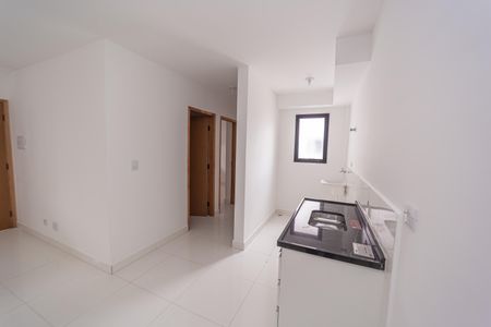 Apartamento para alugar com 48m², 2 quartos e sem vagaCozinha e Área de Serviço