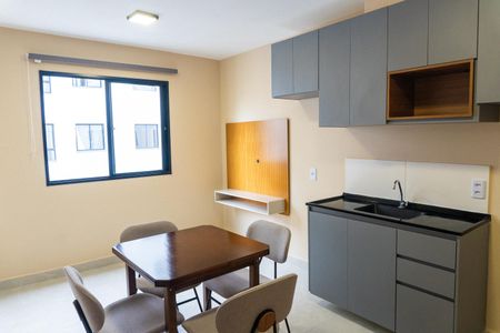 Sala/Cozinha de apartamento para alugar com 1 quarto, 26m² em Jardim Oriental, São Paulo
