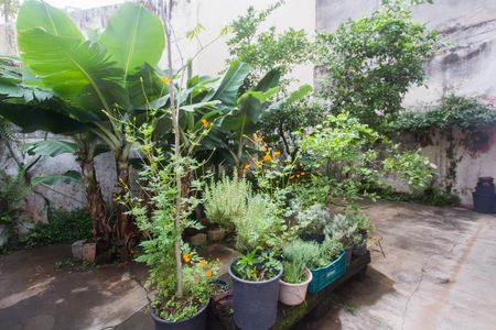 Casa para alugar com 300m², 4 quartos e 2 vagas