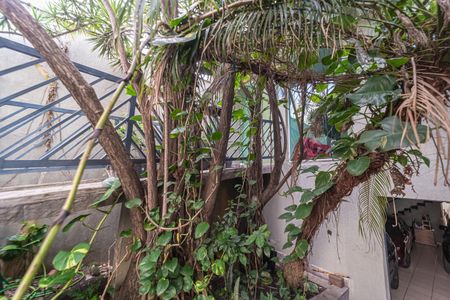 Casa para alugar com 300m², 6 quartos e 5 vagasEntrada