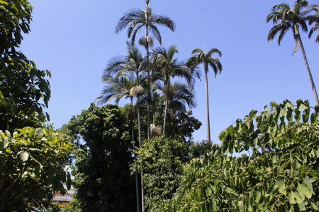 Casa de condomínio à venda com 150m², 4 quartos e 1 vagaVista da Rua