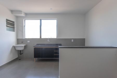 Apartamento para alugar com 44m², 1 quarto e sem vagaCozinha