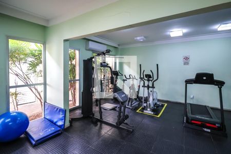 Apartamento para alugar com 50m², 2 quartos e 1 vagaAcademia