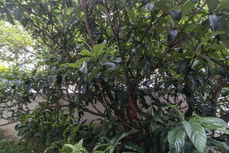 Apartamento para alugar com 50m², 2 quartos e 1 vagaVista do Quarto 1