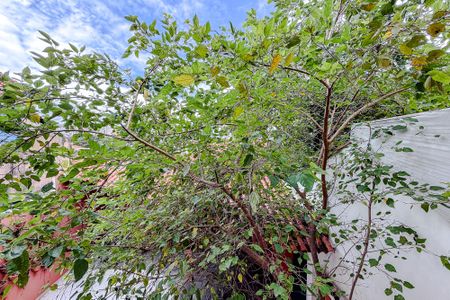 Casa para alugar com 283m², 3 quartos e 3 vagasVista do Quarto 2