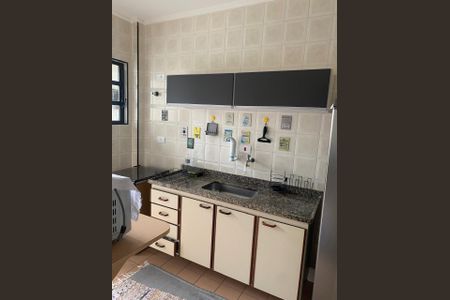 Cozinha de apartamento para alugar com 1 quarto, 75m² em Cidade Ocian, Praia Grande