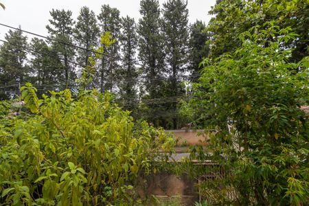 Vista da sala de casa para alugar com 2 quartos, 112m² em Nova Sousas (sousas), Campinas