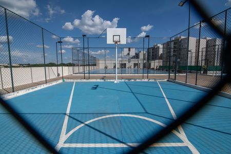 Apartamento para alugar com 61m², 2 quartos e 2 vagasÁrea Comum - Bola ao Cesto