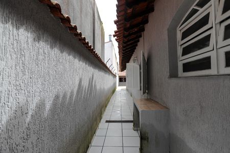 Casa para alugar com 234m², 3 quartos e 2 vagasQuintal