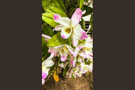 Apartamento à venda com 69m², 3 quartos e 1 vagaÁrea comum