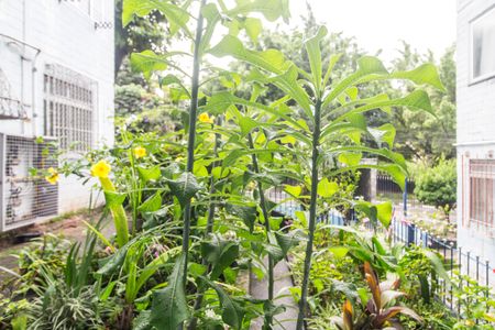 Apartamento para alugar com 55m², 3 quartos e 1 vagaÁrea comum