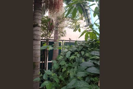 Quintal de casa para alugar com 2 quartos, 130m² em Paraíso, São Paulo