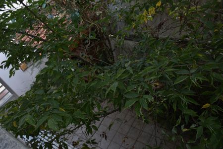 Casa à venda com 192m², 3 quartos e 2 vagas