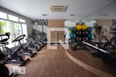 Apartamento para alugar com 97m², 2 quartos e 2 vagas Apartamento para alugar com 97m², 2 quartos e 2 vagasÁrea comum - Academia
