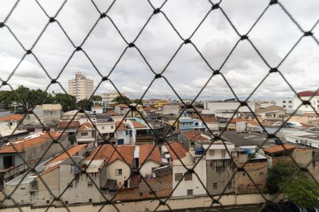 Apartamento para alugar com 64m², 3 quartos e 1 vagaVista da Lavanderia