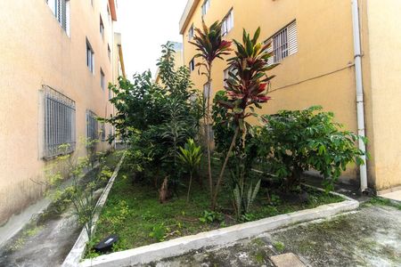 Apartamento para alugar com 49m², 2 quartos e 1 vaga Apartamento para alugar com 49m², 2 quartos e 1 vagaÁrea Comum