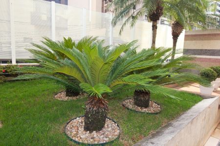 Apartamento à venda com 268m², 3 quartos e 4 vagasArea Verde