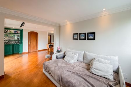 Sala de apartamento para alugar com 2 quartos, 103m² em Vila Mariana, São Paulo