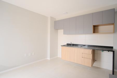 Sala de apartamento para alugar com 1 quarto, 30m² em Vila Carrão, São Paulo