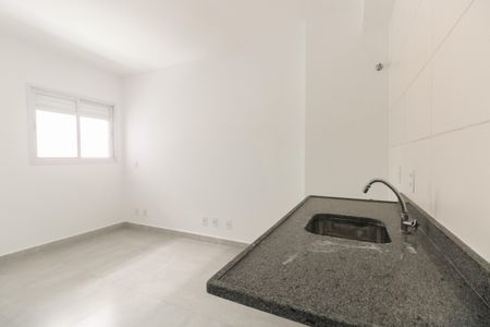 Apartamento para alugar com 30m², 1 quarto e sem vagaCozinha 