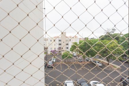 Vista da Sala de apartamento à venda com 2 quartos, 50m² em Jardim dos Oliveiras, Campinas