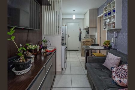 Apartamento para alugar com 1 quarto, 28m² em Vila Palmeiras, São Paulo