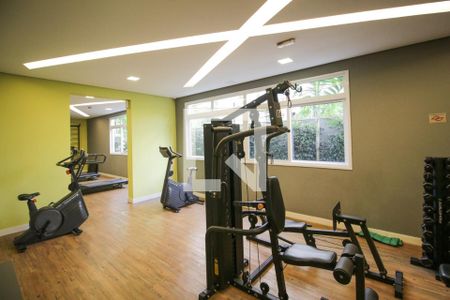 Apartamento para alugar com 40m², 1 quarto e sem vagaAcademia