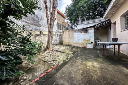 Casa para alugar com 900m², 1 quarto e sem vagaQuintal